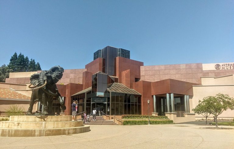 A museum gallery