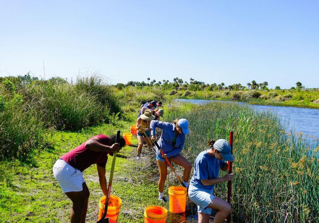 Volunteers working along a creek bank